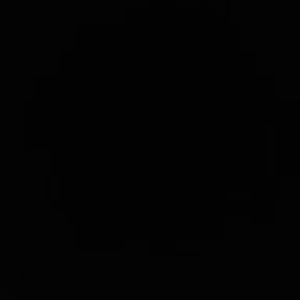 Meet your Posher, Weegee